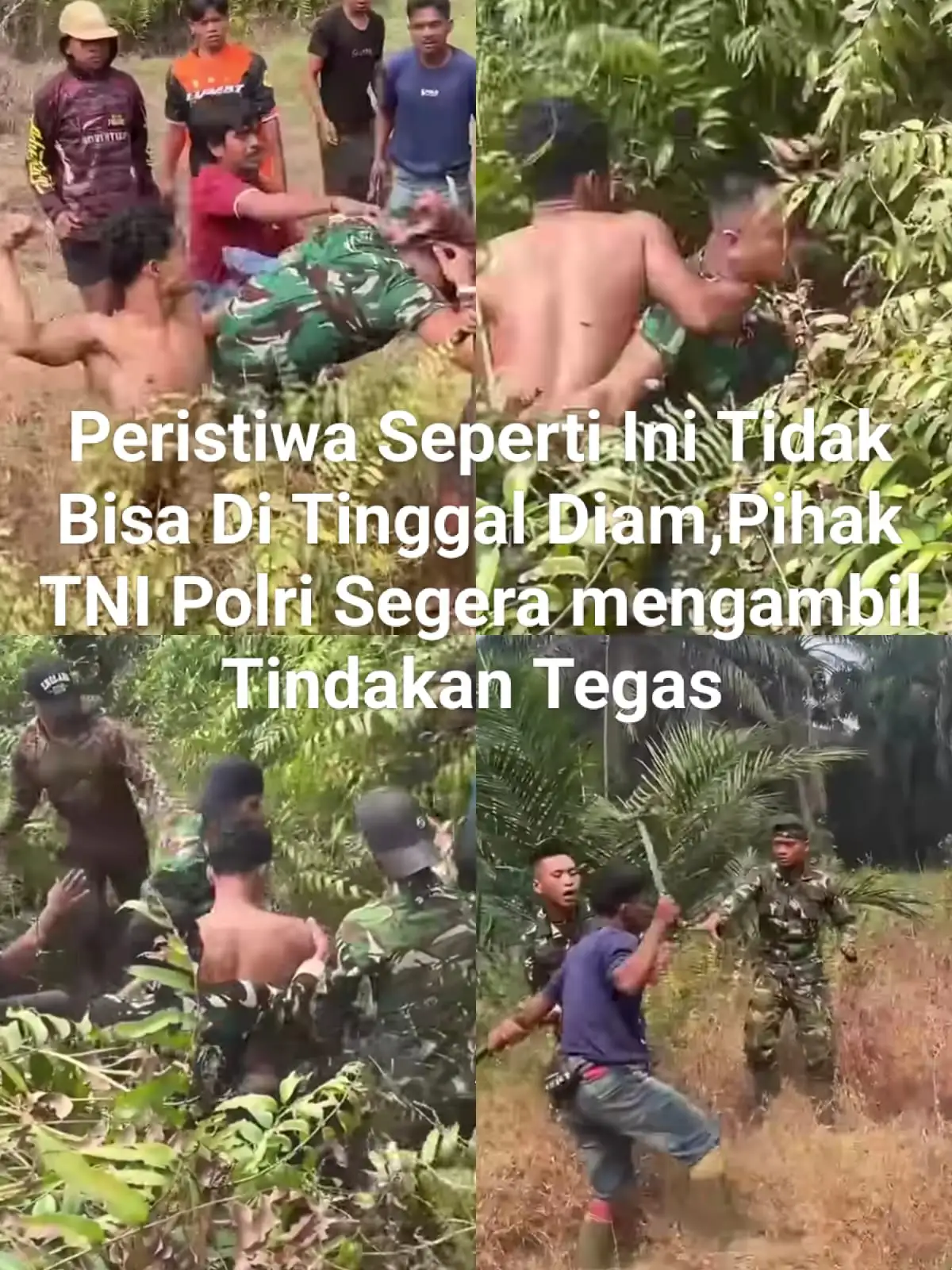 Bentrok Oknum TNI Dengan SAD (Suku Anak Dalam) Di Lokasi Perkebunan PT SAL Di Hitamulu Sarolangun Jambi.